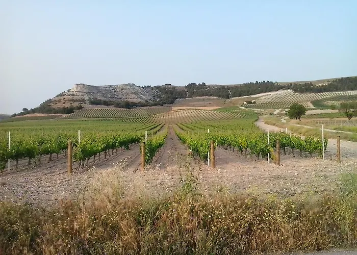Feriehus Rural Pueblo De La Ribera Peñafiel